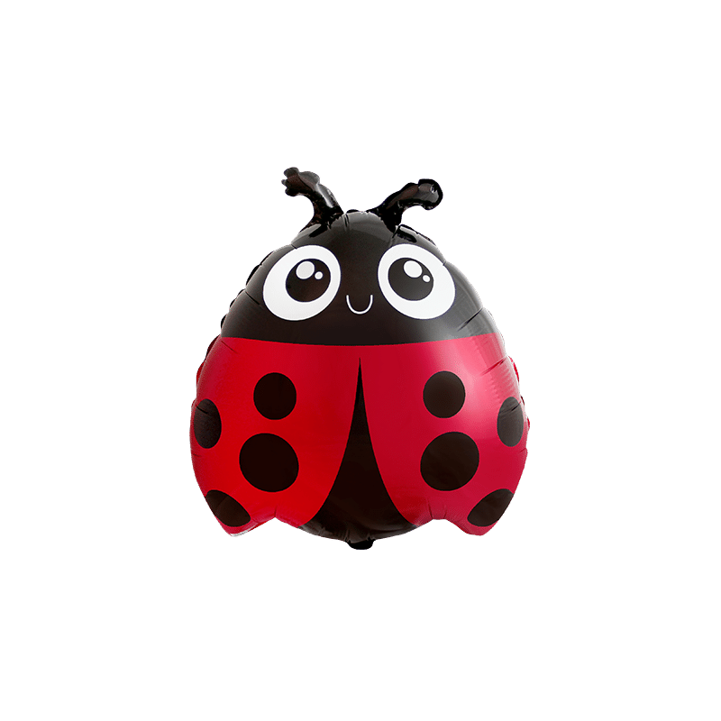 901951 - LADYBUG CUTE