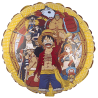 401673 - RD. ONE PIECE