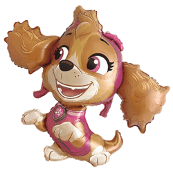 901943 - PAW SKYE