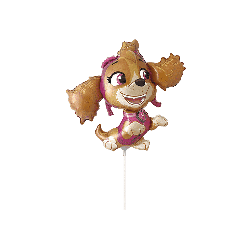 902943 - PAW SKYE MINI
